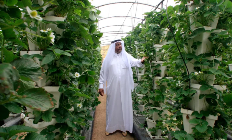تحديات الأمن الغذائي