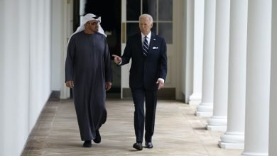 شريك دفاعي