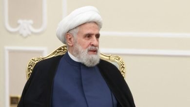 نعيم قاسم