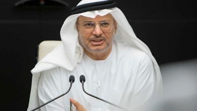 الدولة الوطنية
