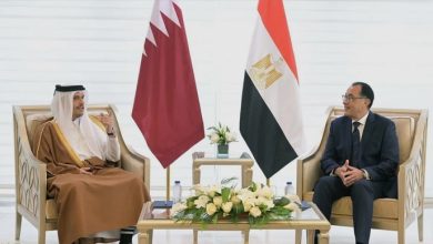 المصرية