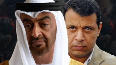خطة الإمارات
