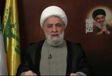 نعيم قاسم