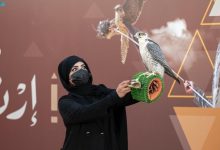 الصقارات السعوديات
