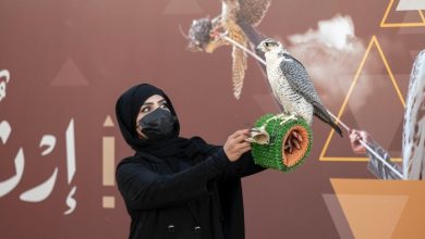 الصقارات السعوديات