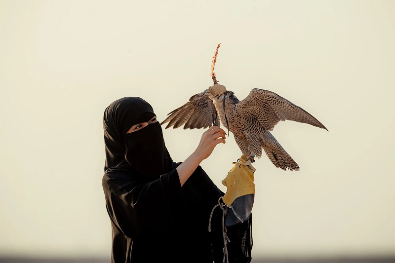 الصقارة هديل المطيري