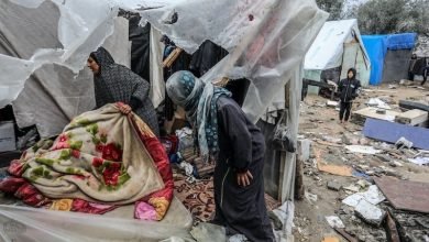 برد النازحين
