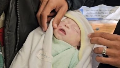 استشهاد رضيعة