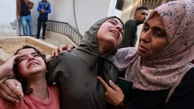 حصيلة الشهداء