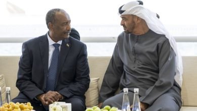 محمد بن زايد وحميدتي