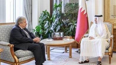 إعلان المبادئ في الكونغو