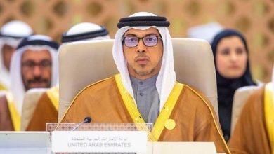 نيويورك تايمز منصور بن زايد