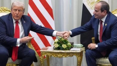 الدور المصري