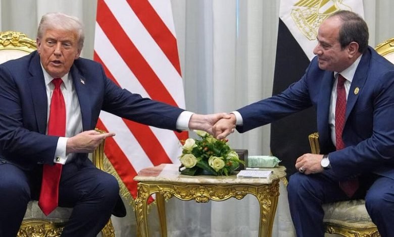 الدور المصري