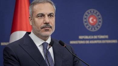 قوة استقرار دولية