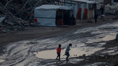 الإبادة الجماعية
