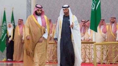 دعم الإمارات