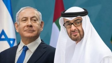 دارك بوكس