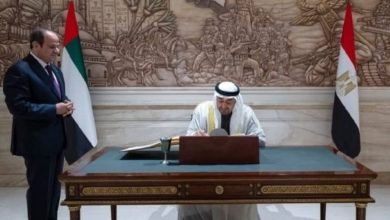 العلاقات المصرية الإماراتية