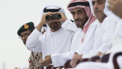 أموال الإعانات الزراعية الأوروبية تنتهي في جيوب شركات آل نهيان
