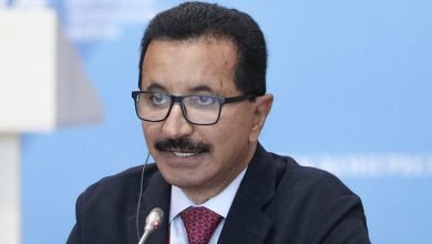 وكالة التنمية البريطانية