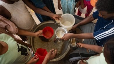 الإبادة الجماعية في السودان