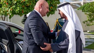 الاستثمارات الإماراتية