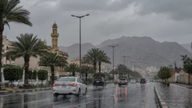 الأرصاد: أمطار غزيرة على 4 مناطق ورياح مثيرة للأتربة