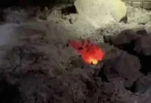 شرطة كركوك تنفي خروج النار من القبور وتكشف حقيقة حريق المقبرة