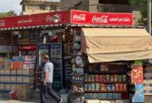 ارتفاع أسعار السكر في مصر للسماح بالتصدير وتقليص خسائر المنتجين