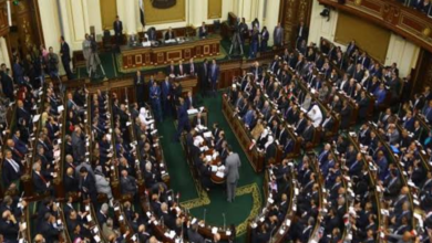 البرلمان المصري يوافق على تفويض السيسي بإرسال قوات لدعم السعودية